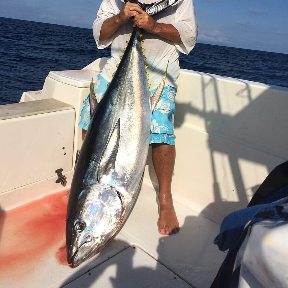 Full Day Tuna/Wahoo Outguided