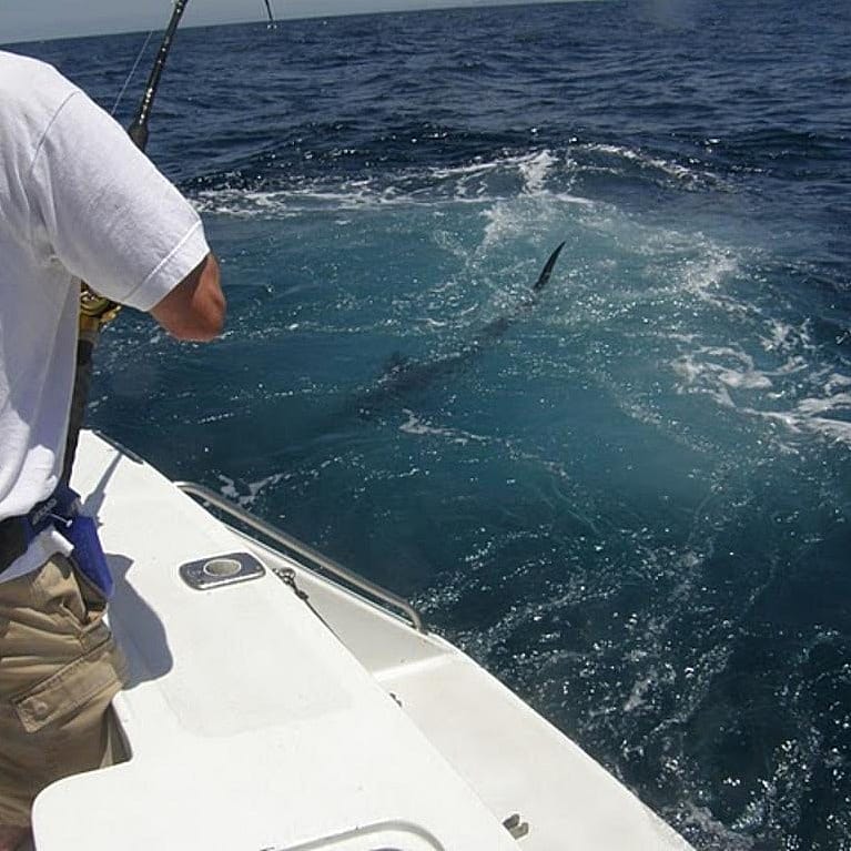 Albufeira Marlin Fishing. White Marlin and Blue Marlin Fishing