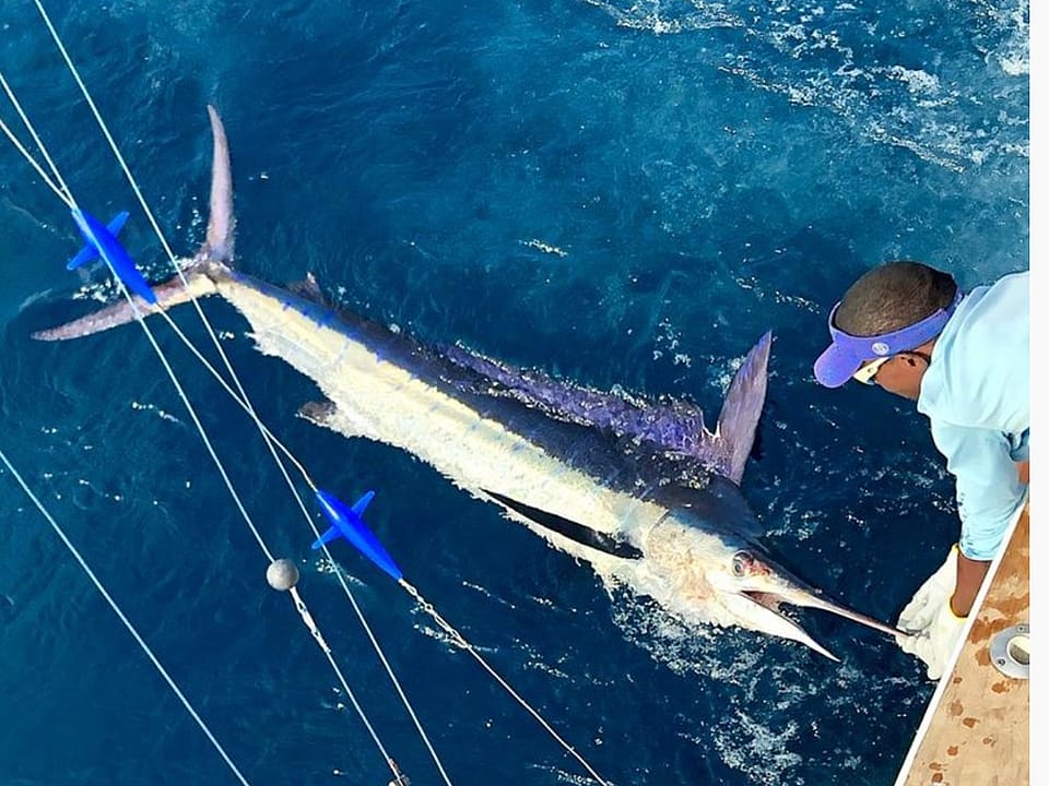 Big Game Fishing Gear Equipment Costa Rica Stock Photo