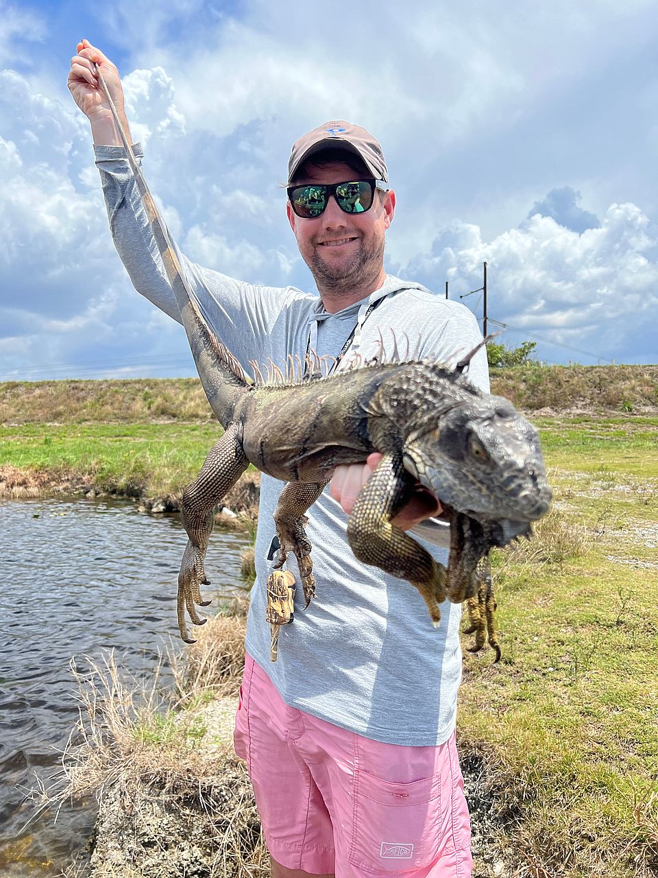 Iguana hunting for monsters Outguided