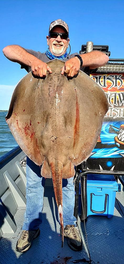 Bowfishing in Maryland With Dusk to Dawn Bowfishing