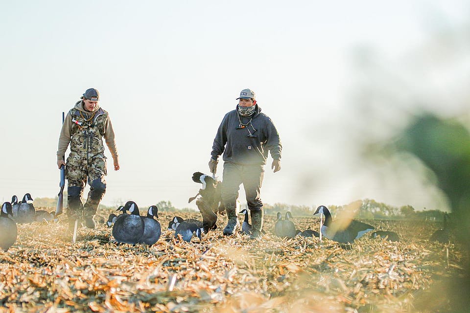 Minnesota Early Goose Hunt Outguided