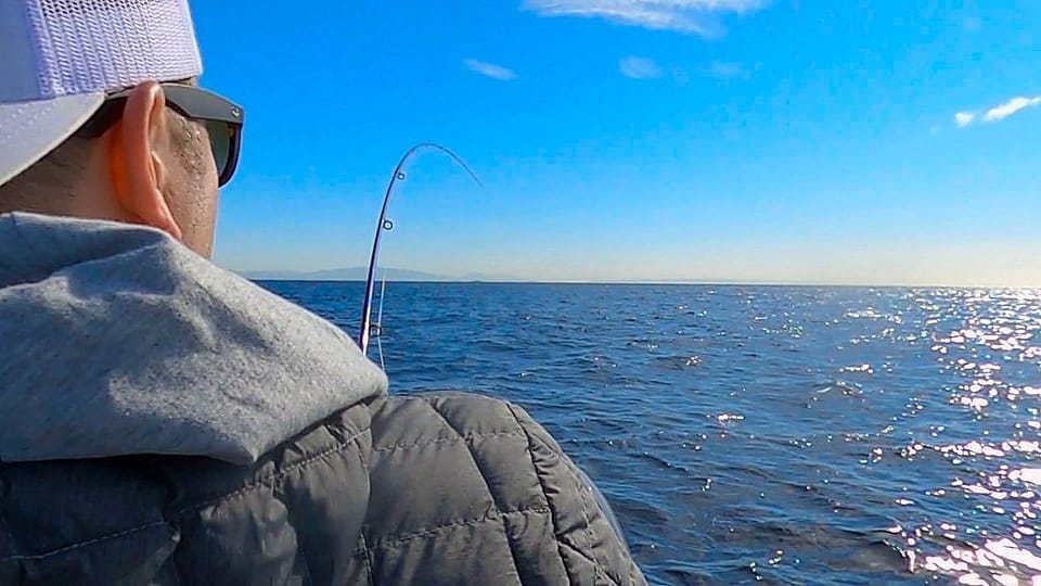 Mako Shark Fly Fishing Trip near San Diego Outguided