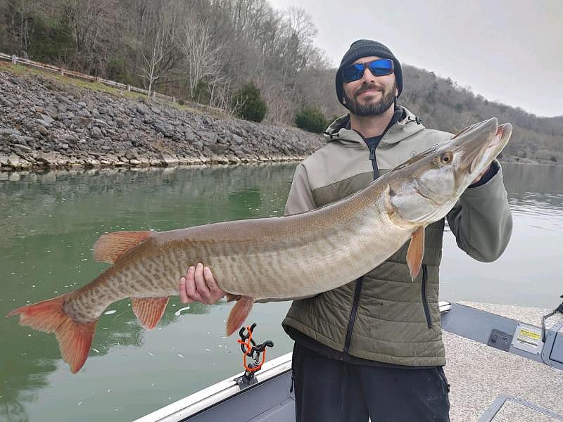 3/4DAY CLINCH RIVER / MELTON HILL LAKE TROPHY AREA STRIPER FISHING