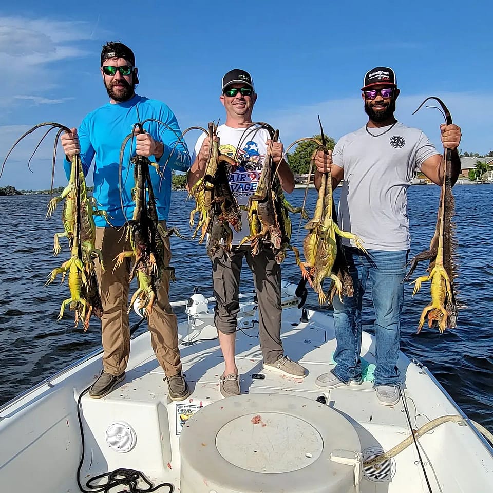 Iguana Hunting In West Palm