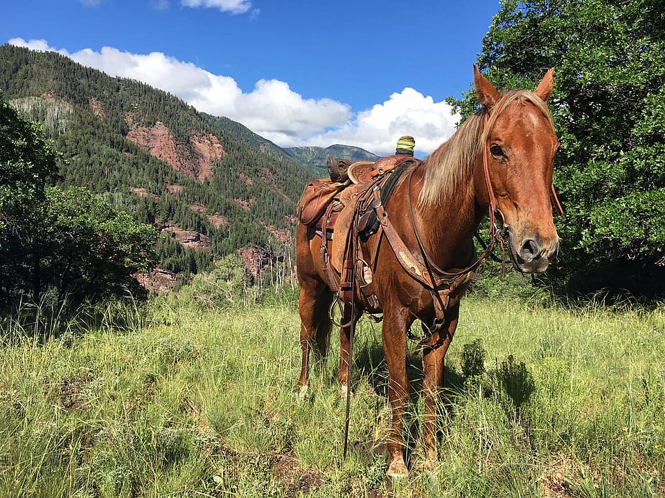 2 Hour Backcountry Ride Outguided