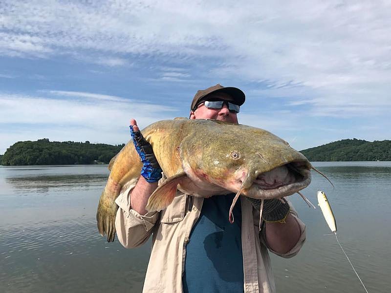 FULLDAY CLINCH RIVER / MELTON HILL LAKE TROPHY AREA STRIPER FISHING