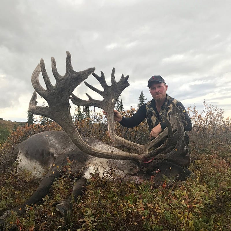 Caribou Hunt Outguided
