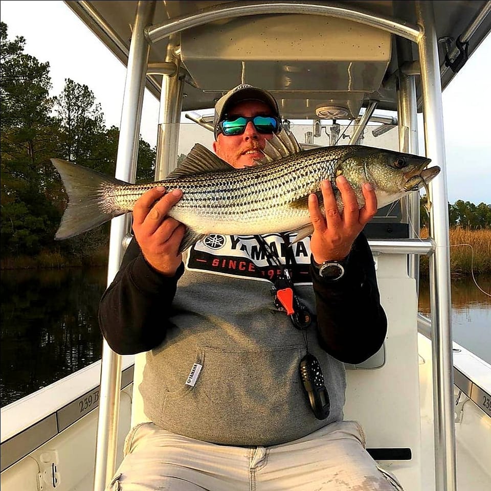 4 Hours Inshore Fishing In South Carolina Outguided
