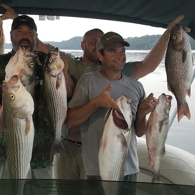 Cherokee Lake Fishing Charter Outguided