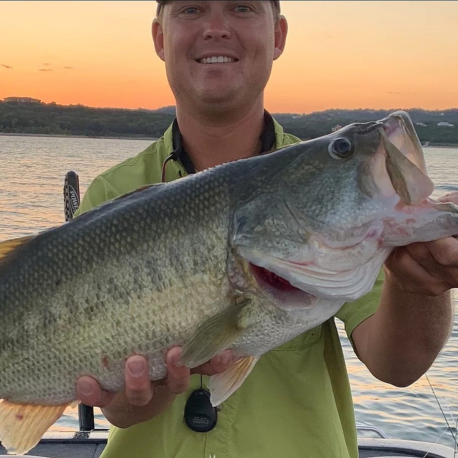 Full Day Bass Fishing Austin Outguided