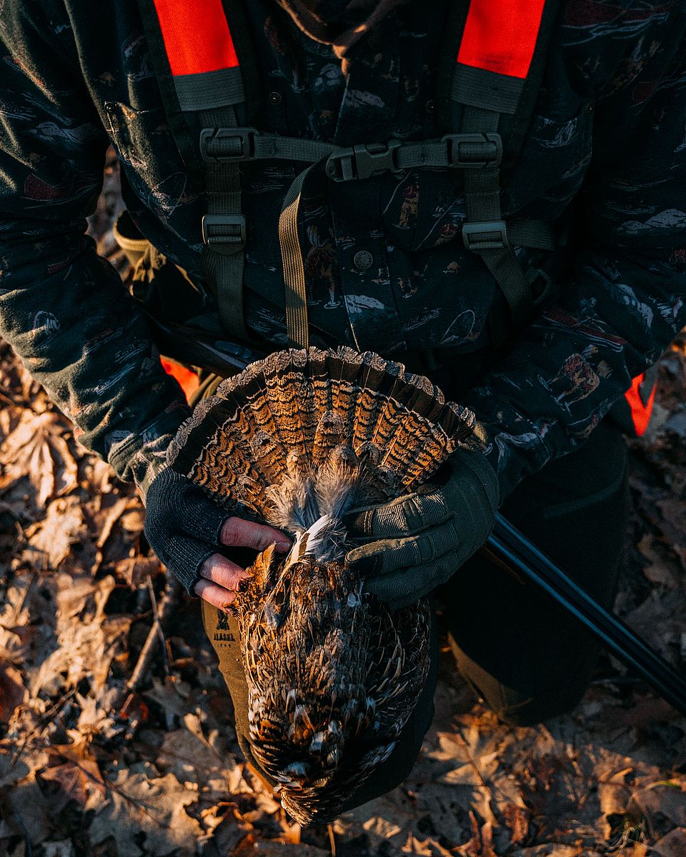 Ruffed Grouse & Woodcock Hunt in the Catskill Mountains Half Day