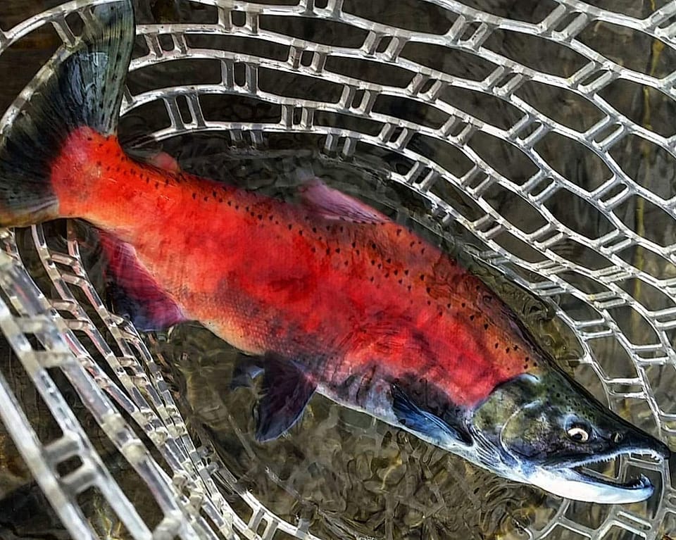 Full Day Lake Dillon Pontoon Boat Fishing Outguided