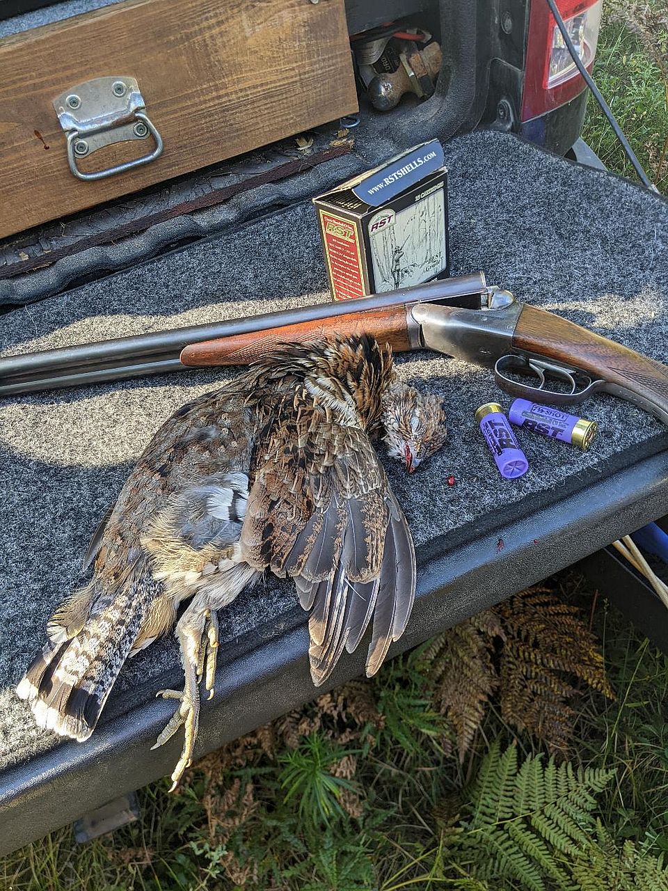Ruffed Grouse & Woodcock Hunt in the Catskill Mountains Half Day