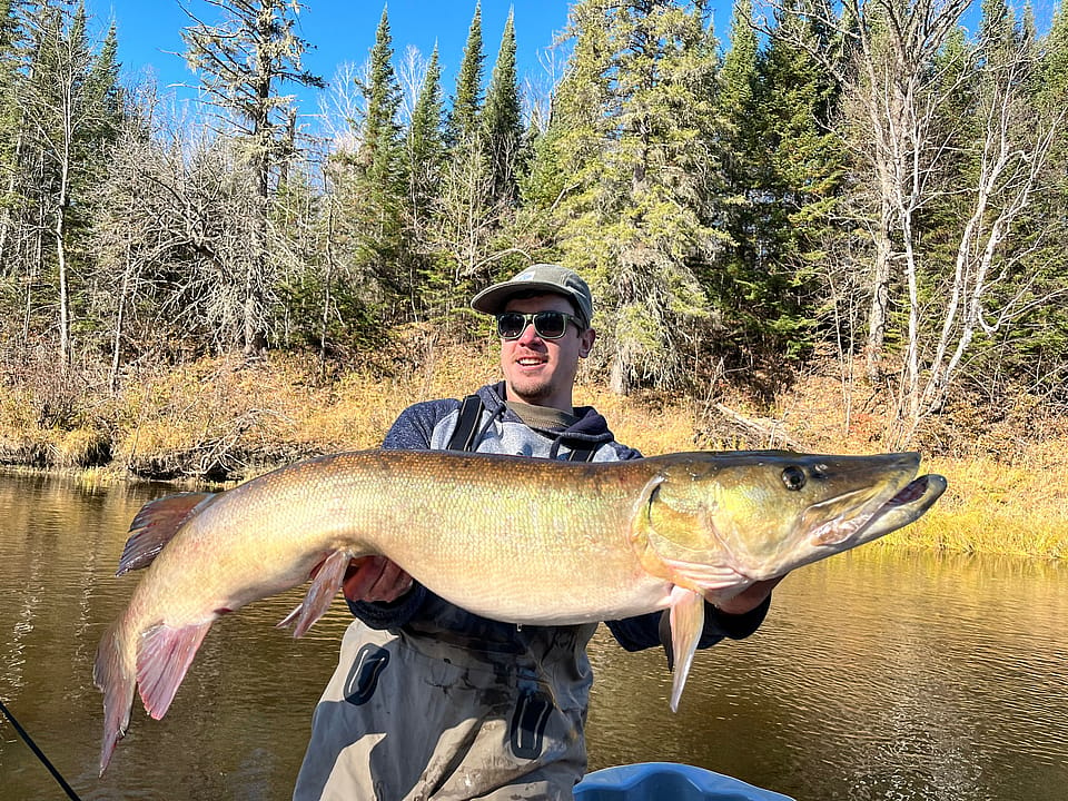 Full-Day Musky & Pike Fly Fishing