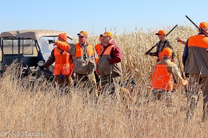 Premier South Dakota Pheasant Hunting Trip at Double P Ranch Outguided