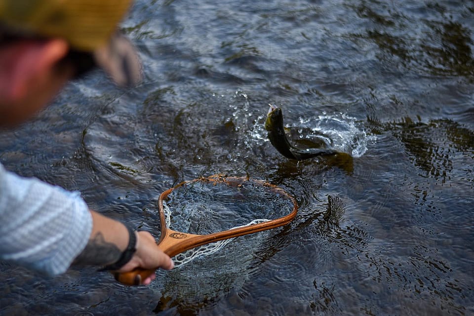 Fly Fishing the Catskill Mountains Full Day Outguided