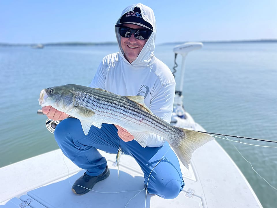 Full Day Portland, Maine Inshore Striped Bass Fly and Light Tackle Fishing  Trip Hewes 20