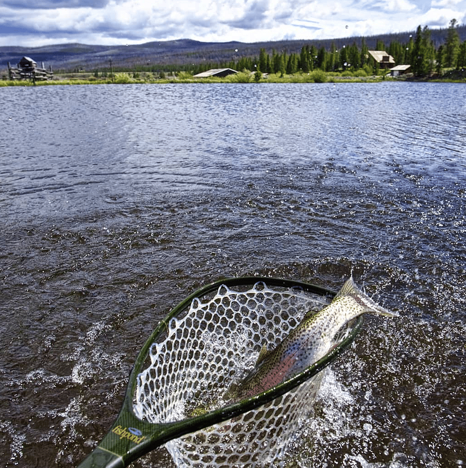 Fullday Fly Fishing Float along Wyoming's Green River Outguided