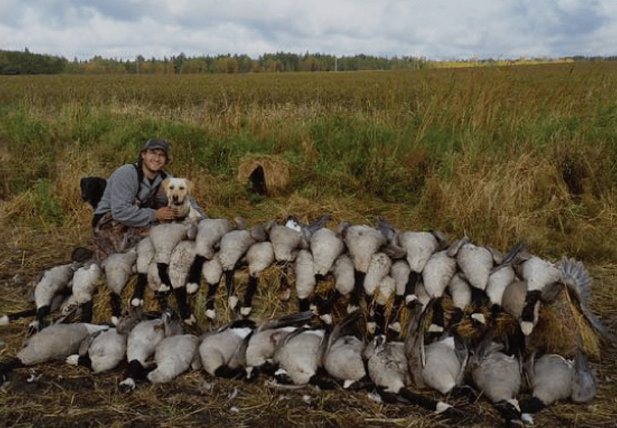 Guided Goose Hunts in Baudette Minnesota Outguided