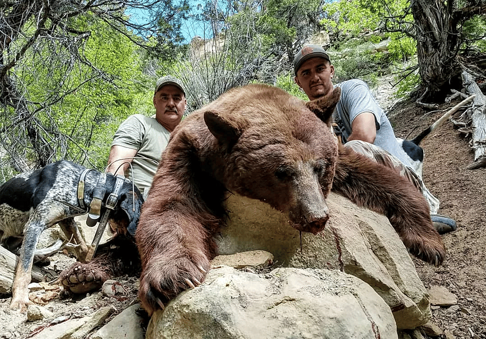 5 Day Guided Bear Hunt in Utah Outguided