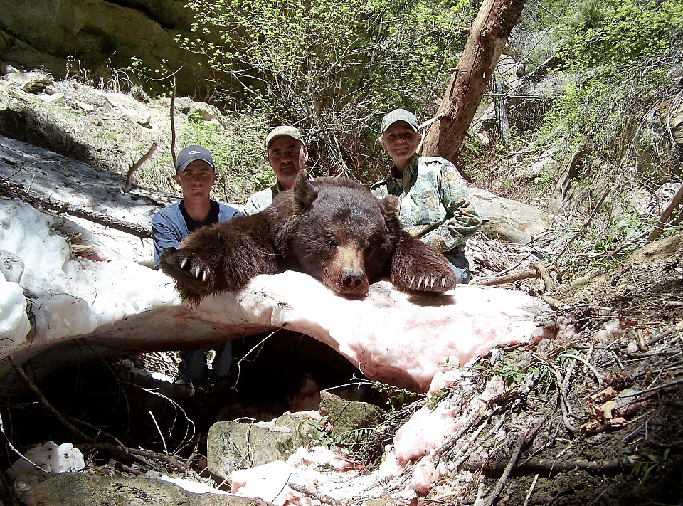 5 Day Guided Bear Hunt in Utah Outguided