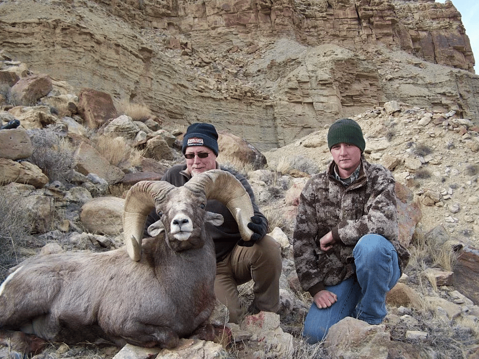 5 Day Guided Bighorn Sheep Hunt in Utah Outguided