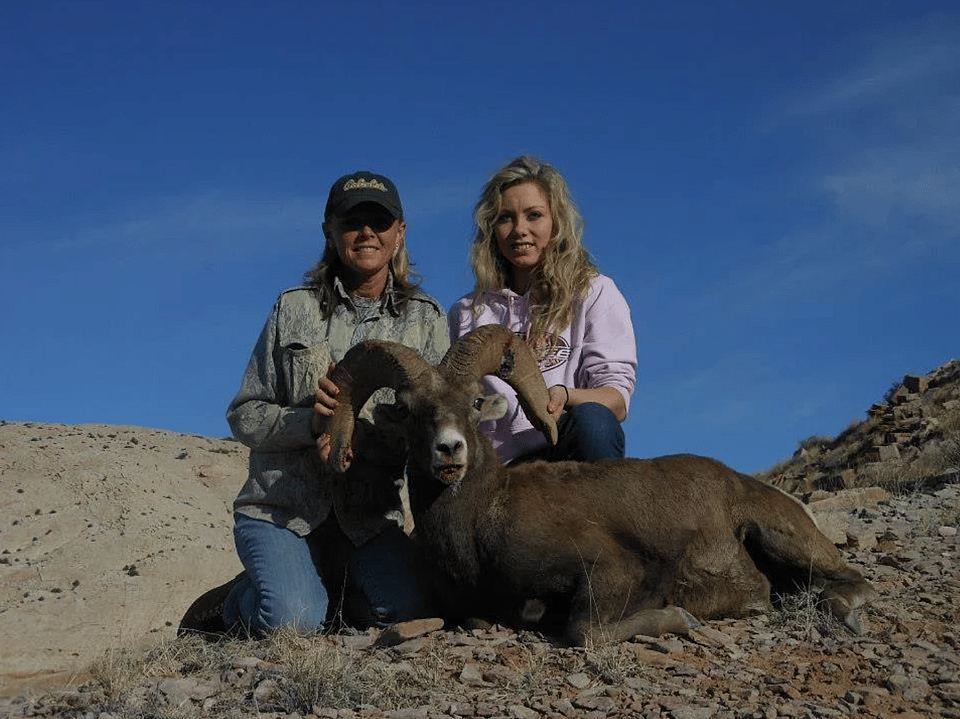 5 Day Guided Bighorn Sheep Hunt in Utah Outguided