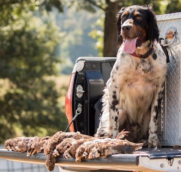 FullDay North Ultimate Hunt Outguided