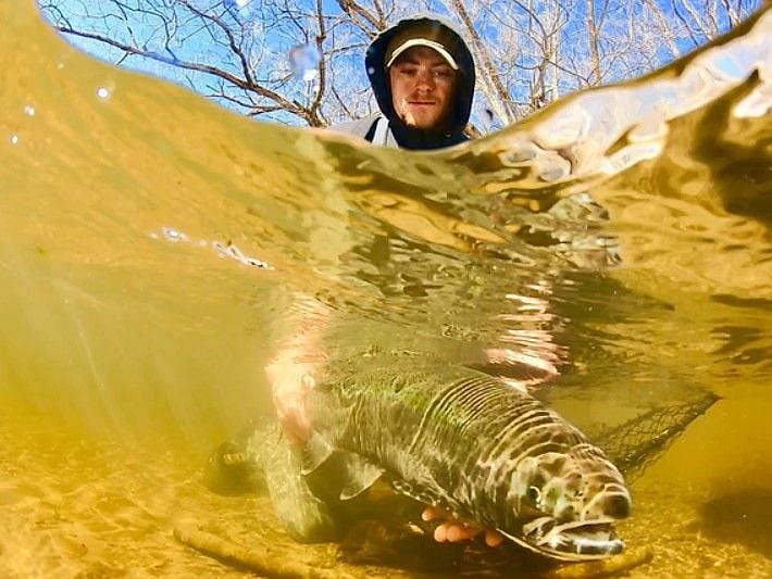 12Hour Trophy Brown Trout Fishing Outguided