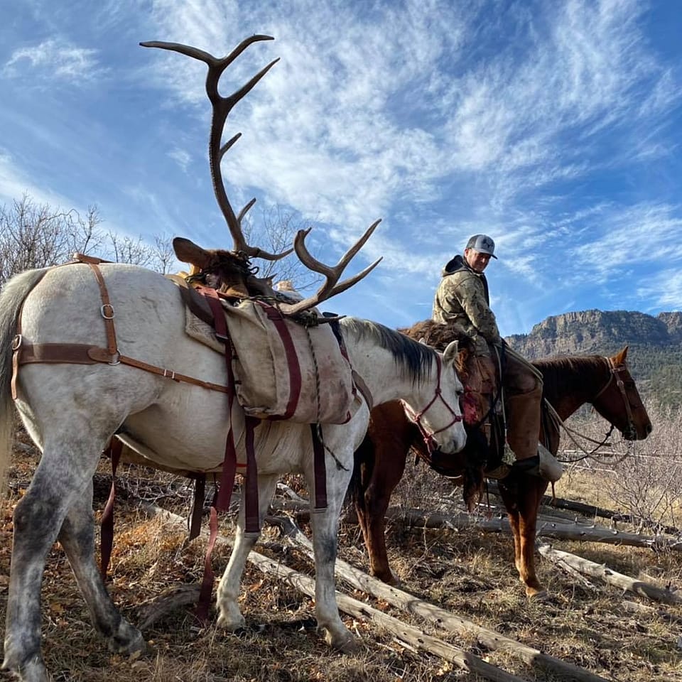 Aoudad Hunting in New Mexico Outguided