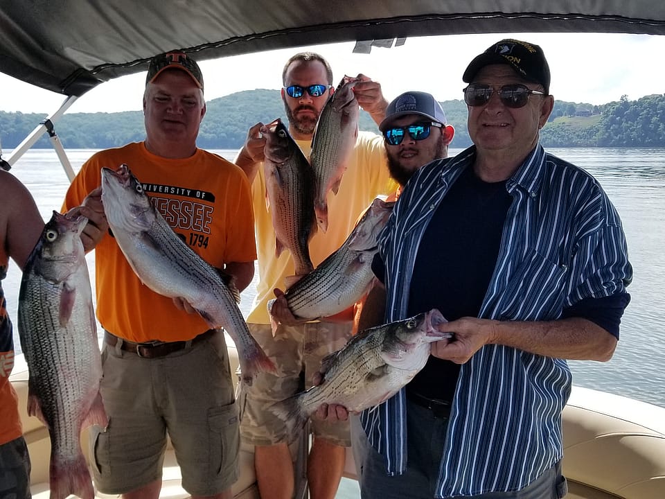 Half Day Striped/Hybrid Bass Fishing on Lake Cherokee Outguided