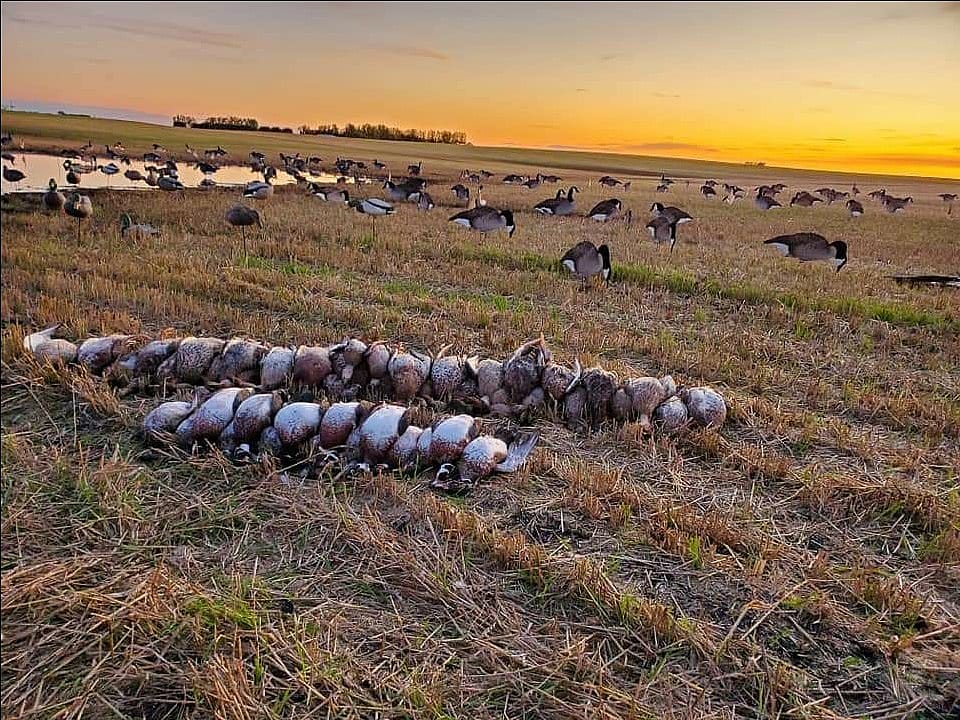 North Dakota Duck Hunting Outguided 