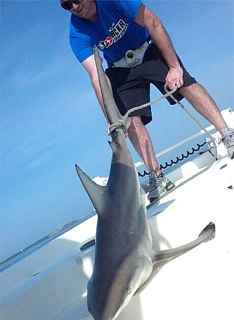 Shark Fishing in the South Carolina Lowcountry