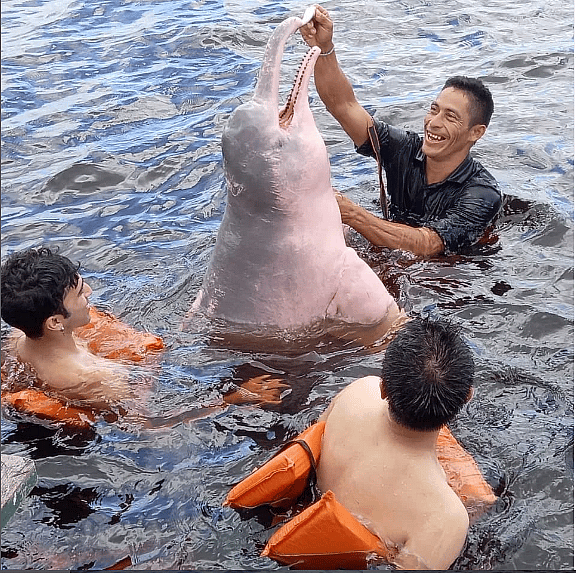 Meeting of the Waters Tour, Swim with Dolphins and Visit to the Indigenous Tribe