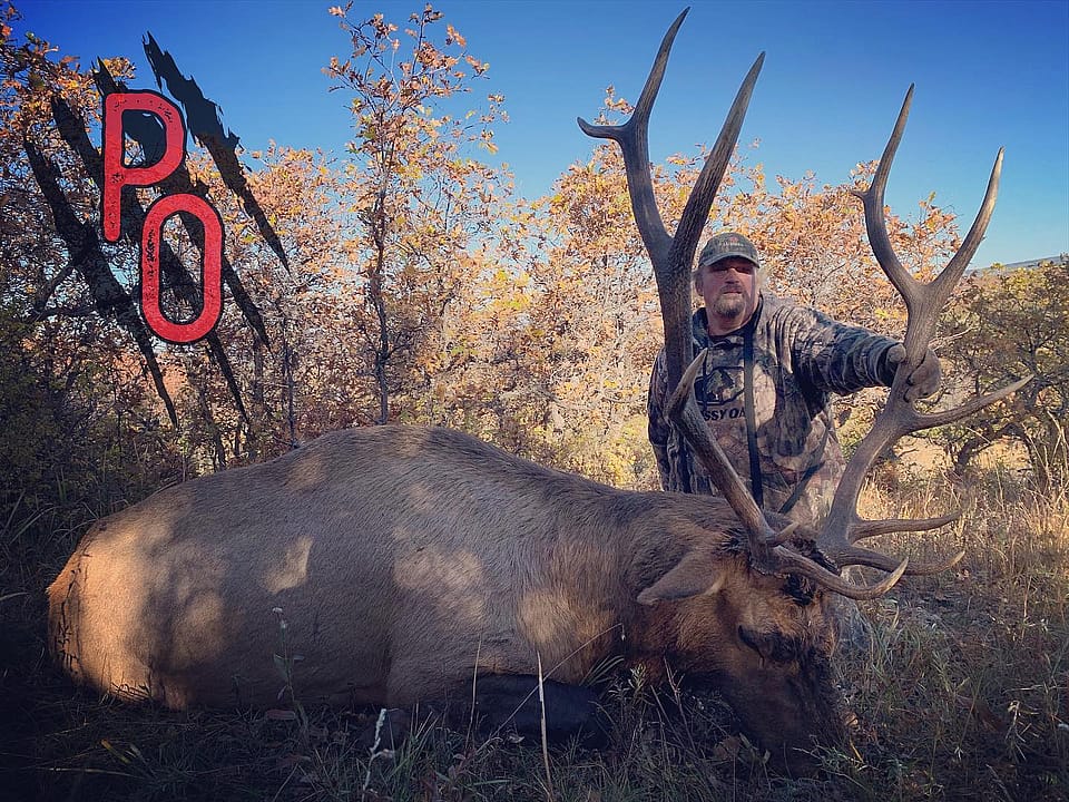 5 Day Archery Elk Hunt in New Mexico Outguided