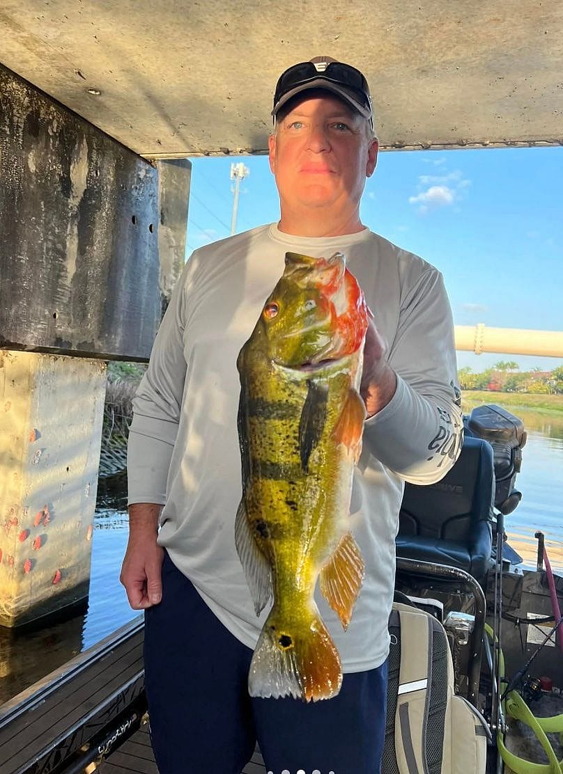 Full Day Iguana Hunt and Florida Peacock Fishing Combo Trip