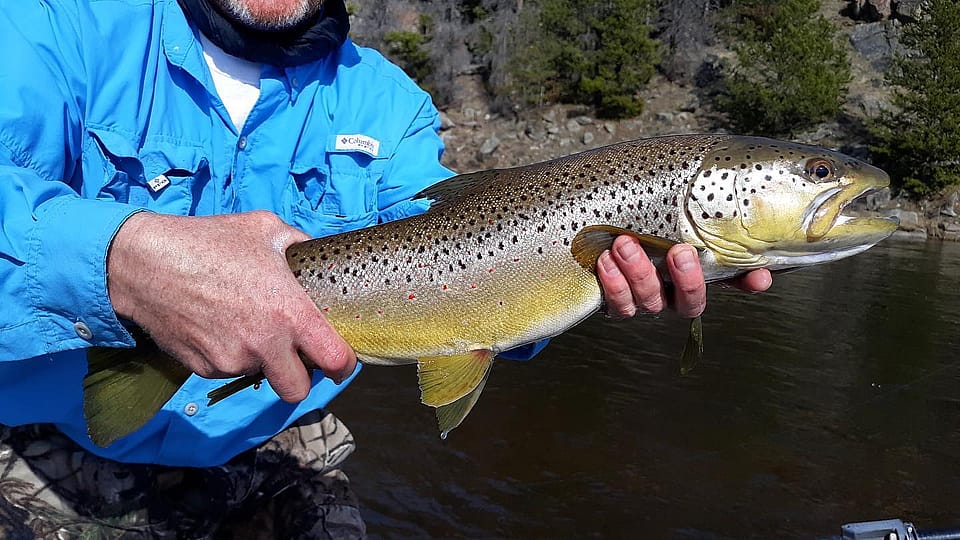 4 Day Fly Fishing Trip in Montana Outguided