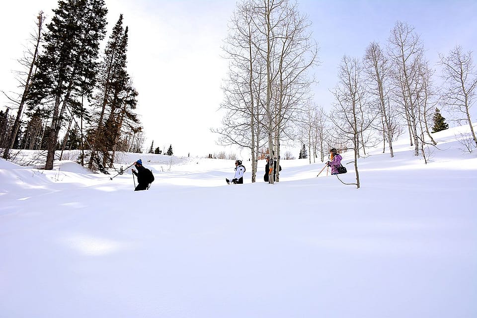 5Hour Snowshoeing in Park City, Utah Outguided