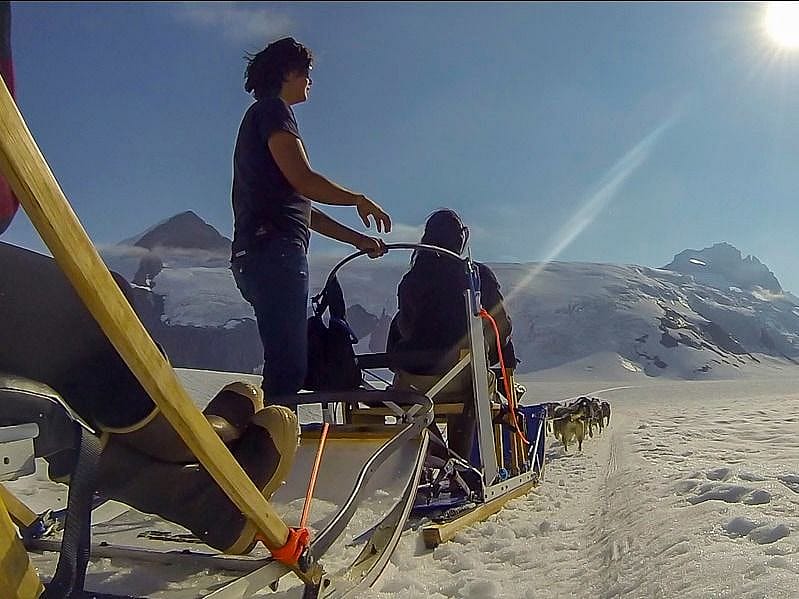 Dog Sledding the Mendenhall Glacier | Outguided