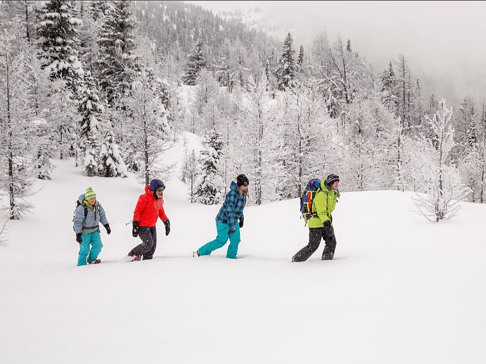 Gondola Snowshoeing at Sunshine Meadows | Outguided