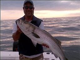 Flounder Fishing Boston Harbor - On The Water