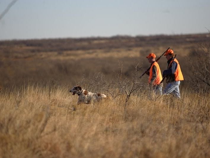 2Day Guided Quail Hunt Outguided