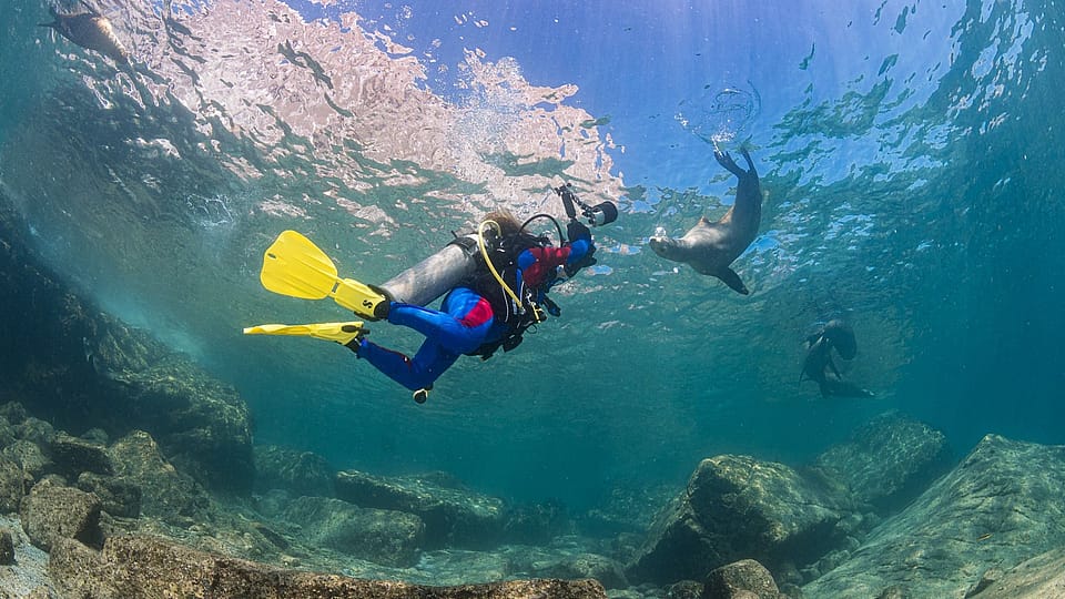Day Diving Scuba Trip in La Paz, Mexico! Outguided