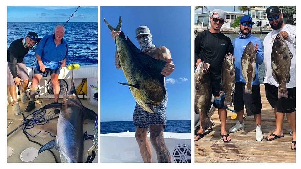 10Hour Swordfish Hunt Outguided