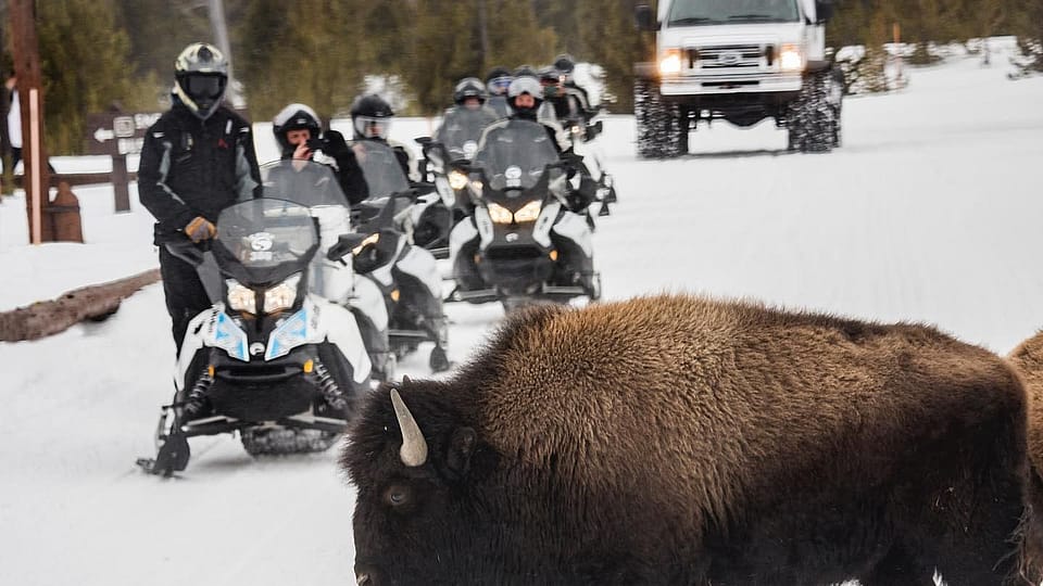 private snowmobile tour yellowstone