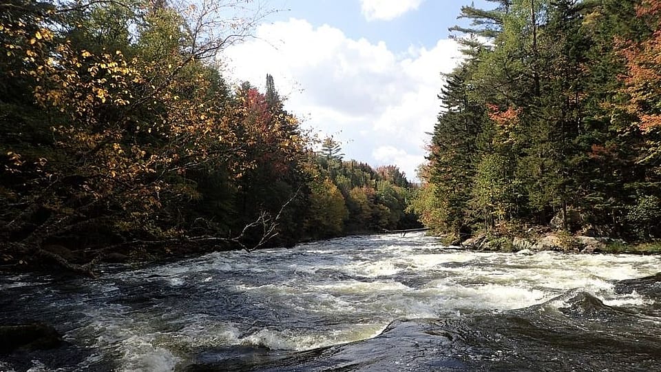 FullDay Magalloway River Fly Fishing Outguided