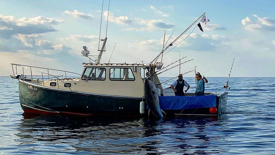 Full Day Tuna Fishing Charter Outguided