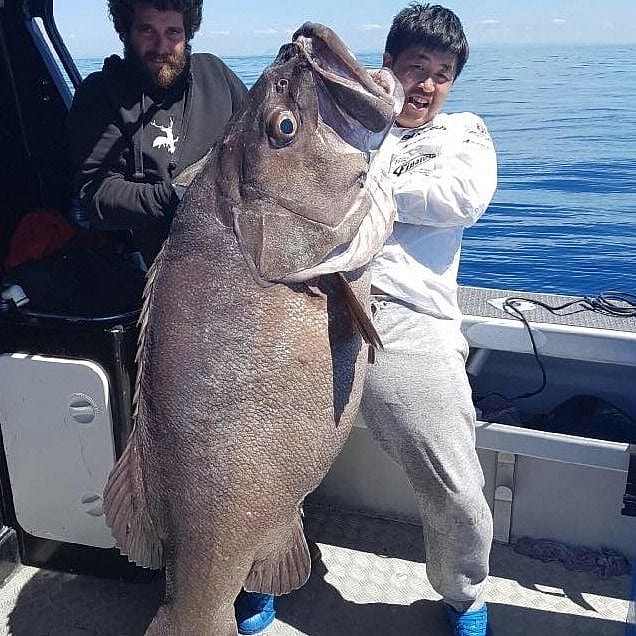 Full-Day Ranfurly Banks Fishing Tour - Private Charter