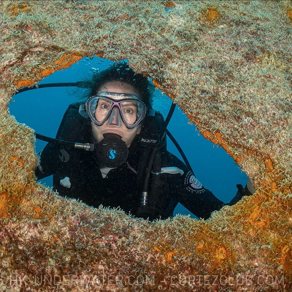 Day Diving Scuba Trip in La Paz, Mexico! Outguided